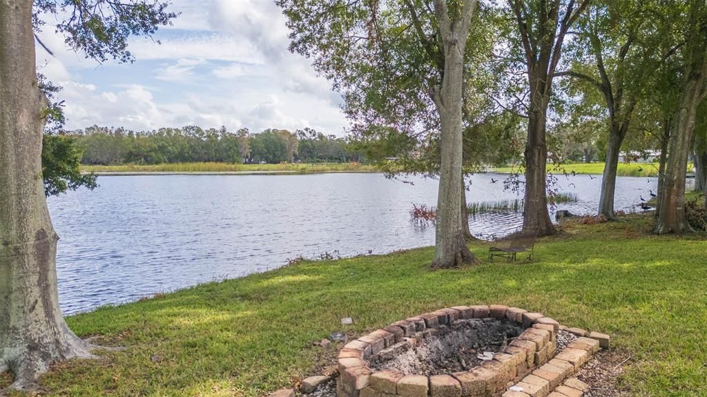 Firepit & View