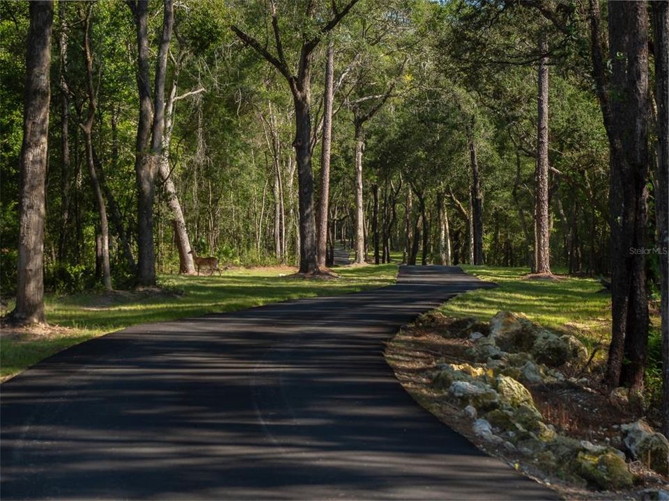 На продажу: $2,340,000 (36.00 acres)