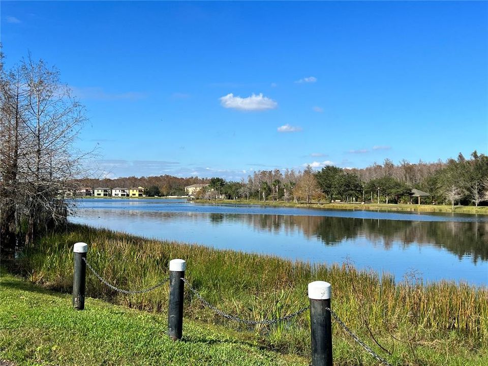 Backyard - Lakefront View