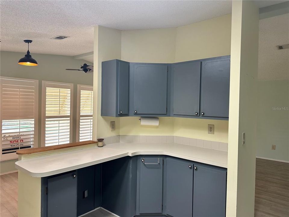 Kitchen Cabinets