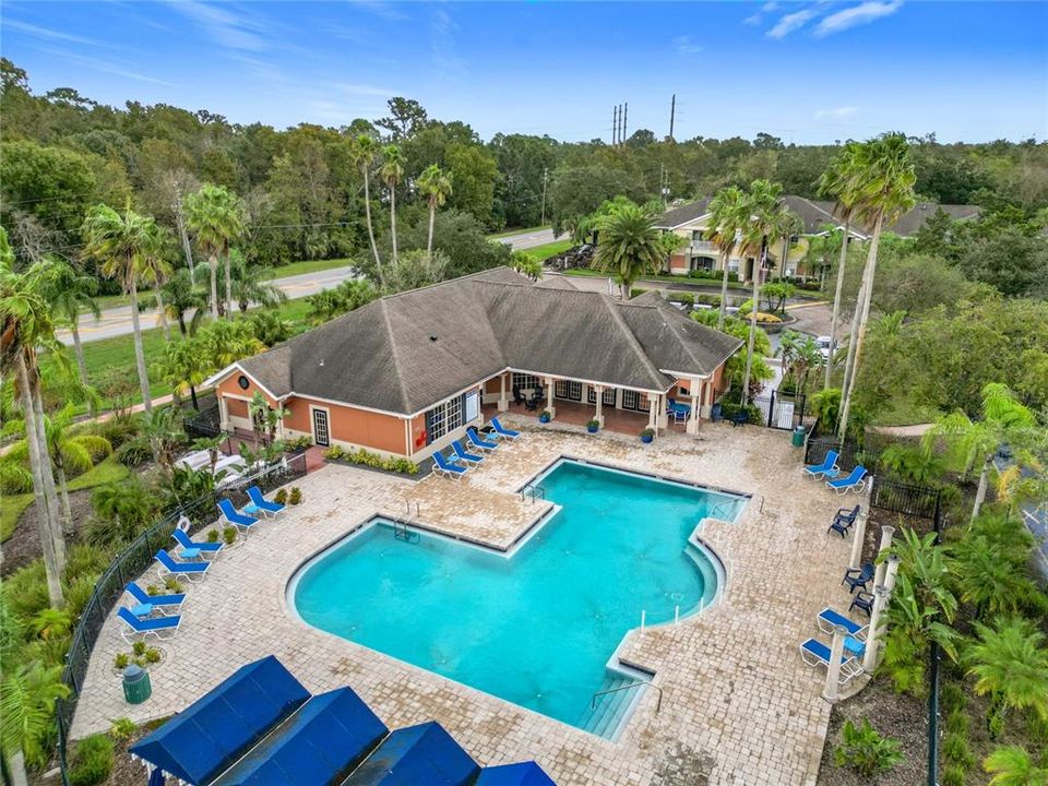 Sparkling outdoor pool surrounded by lush landscaping and comfortable lounge chairs.