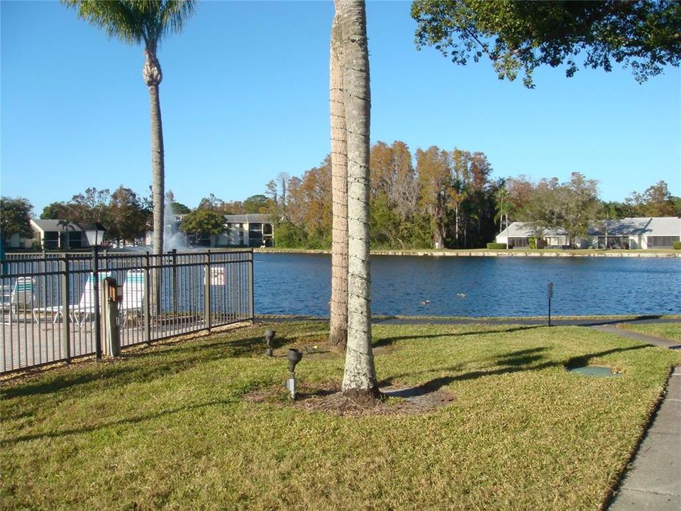 Pond View from Club House