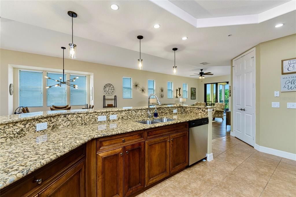 Beautiful Granite Counter and modern designer lighting