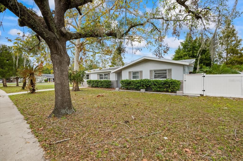 Large Front Yard