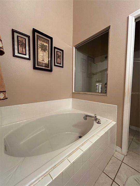 Primary Bath Garden Tub