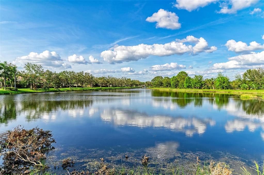 One of many ponds in the community.