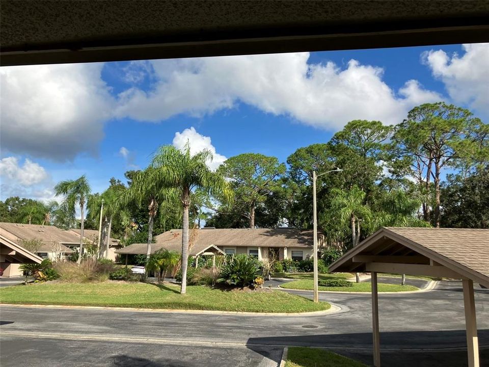 Front Patio View