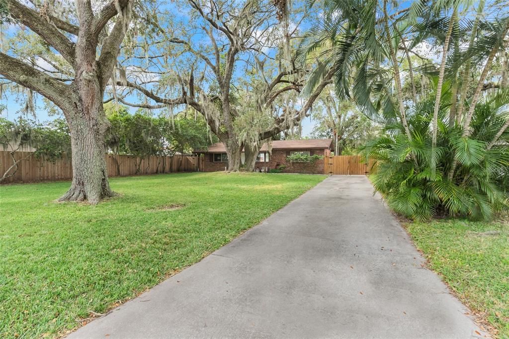 Extended Driveway