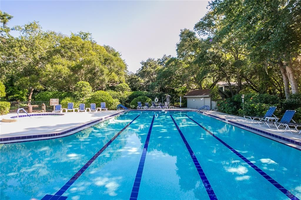 One of 3 swimming pools