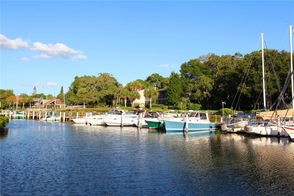 Easy access to Sarasota Bay