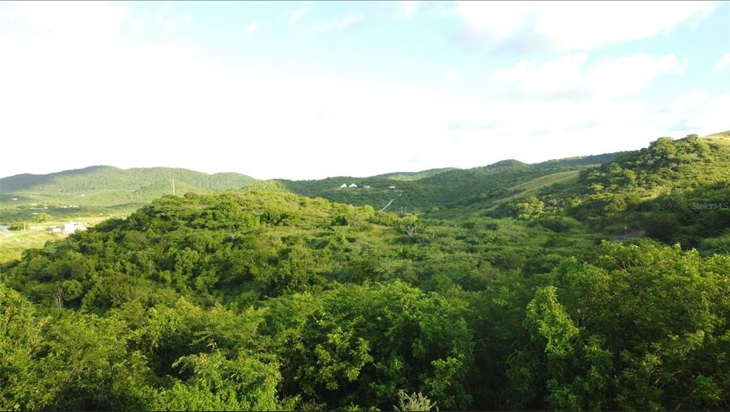 待售: $650,000 (5.50 acres)