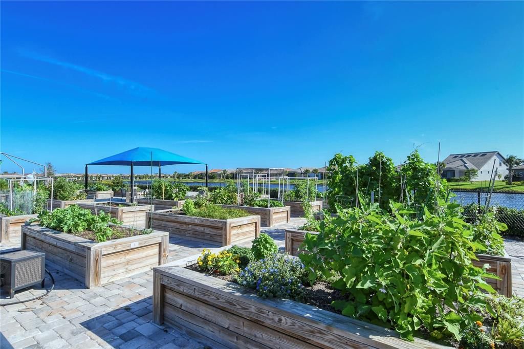 Clubhouse Community Garden