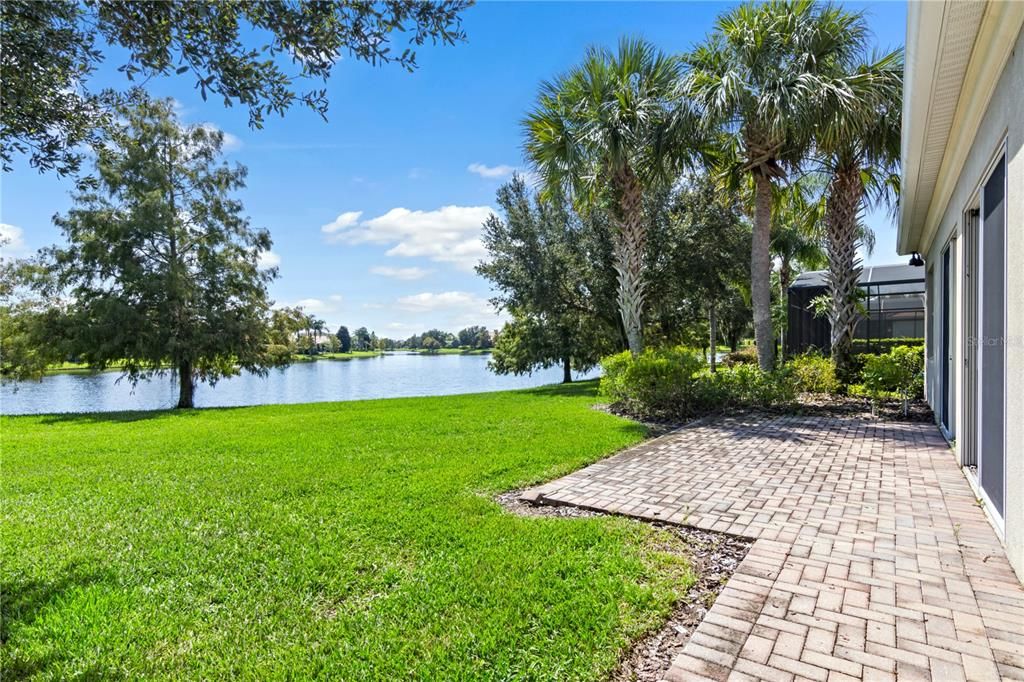 Backyard - Lake View