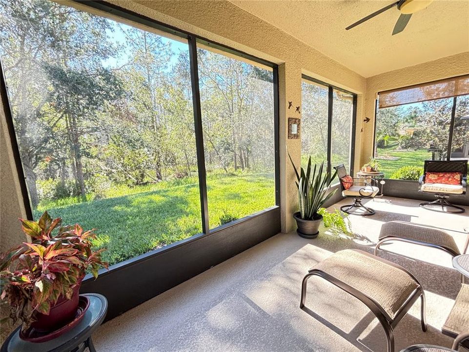 Screened and Covered Lanai