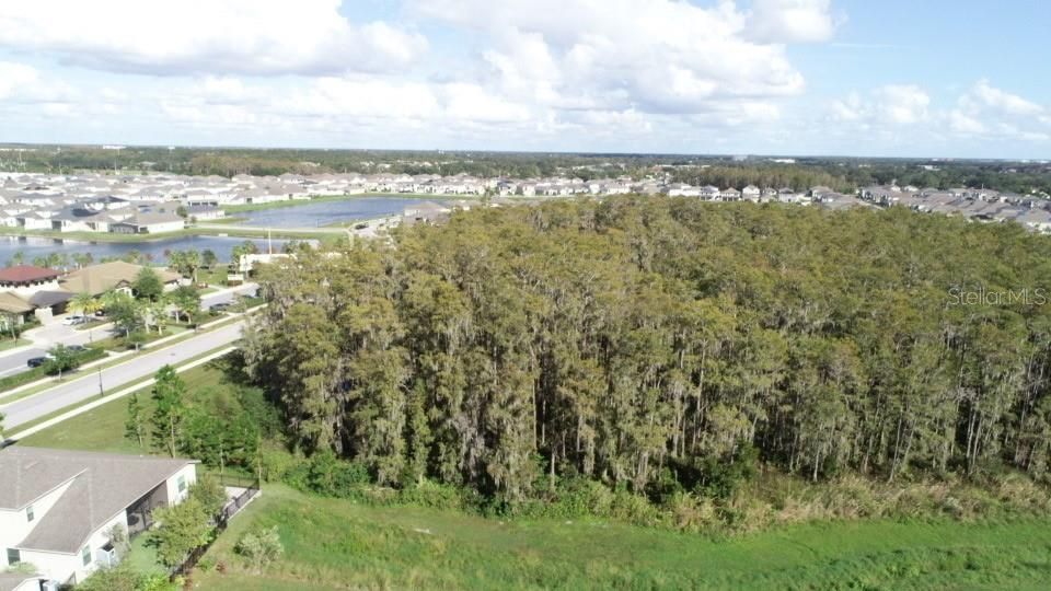 Backyard Aerial View