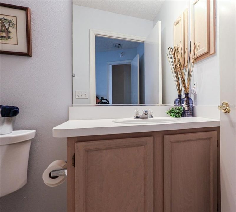 guest bathroom