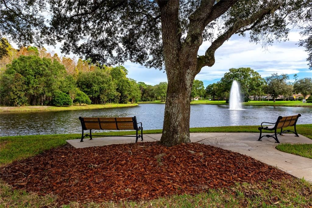 One of the many ponds in Ridgemoor