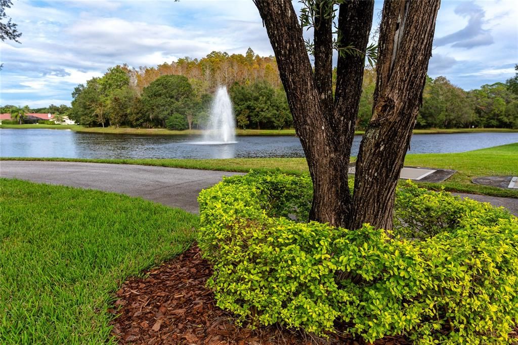 One of the many ponds in Ridgemoor