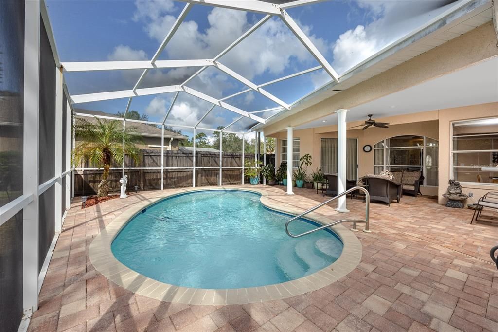 Pool with paver deck and integrated LED Lighting -4466 Worthington Ct, Palm Harbor, FL 34685