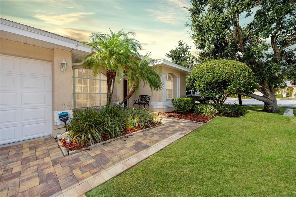 aver sidewalk -4466 Worthington Ct, Palm Harbor, FL 34685