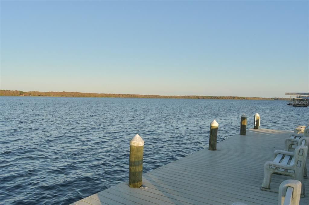 View of Lake Tarpon by Marina