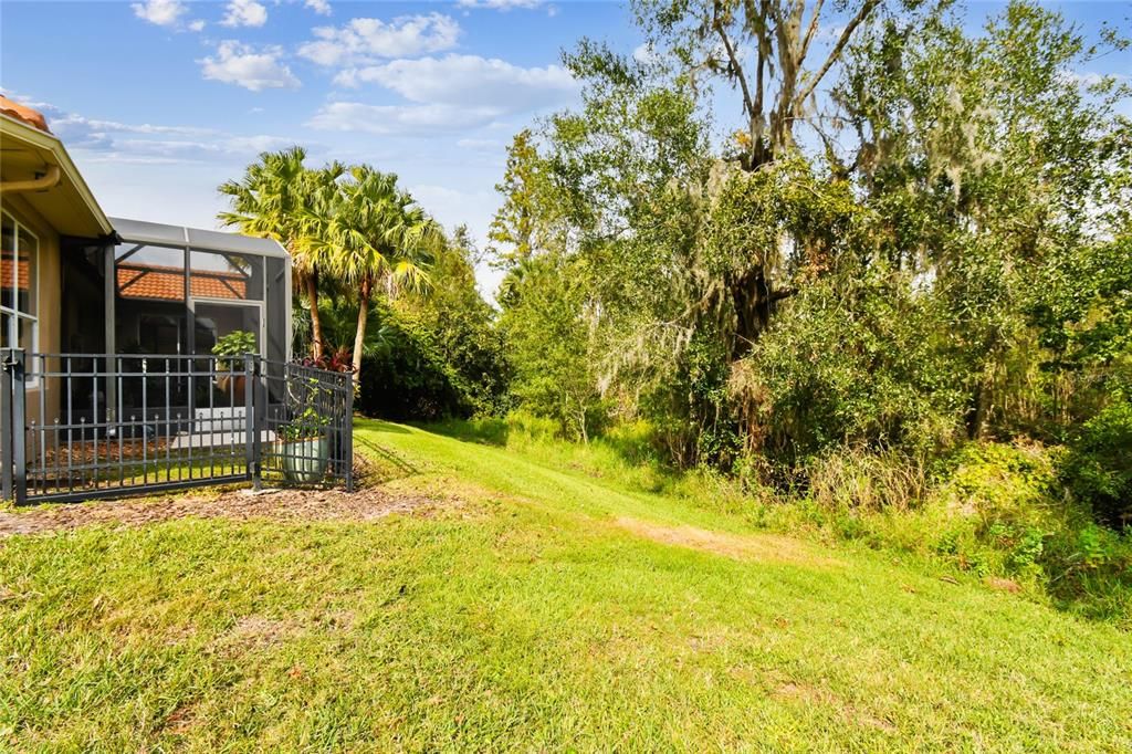 LUSH LANDSCAPING CREATING PRIVACY