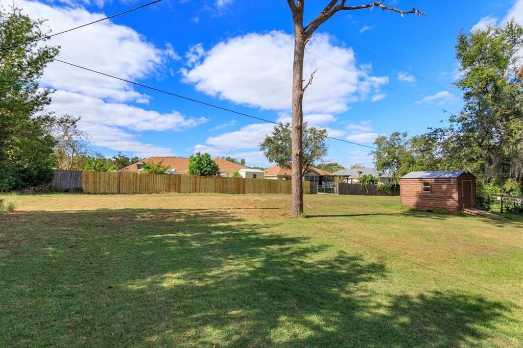 Expansive backyard