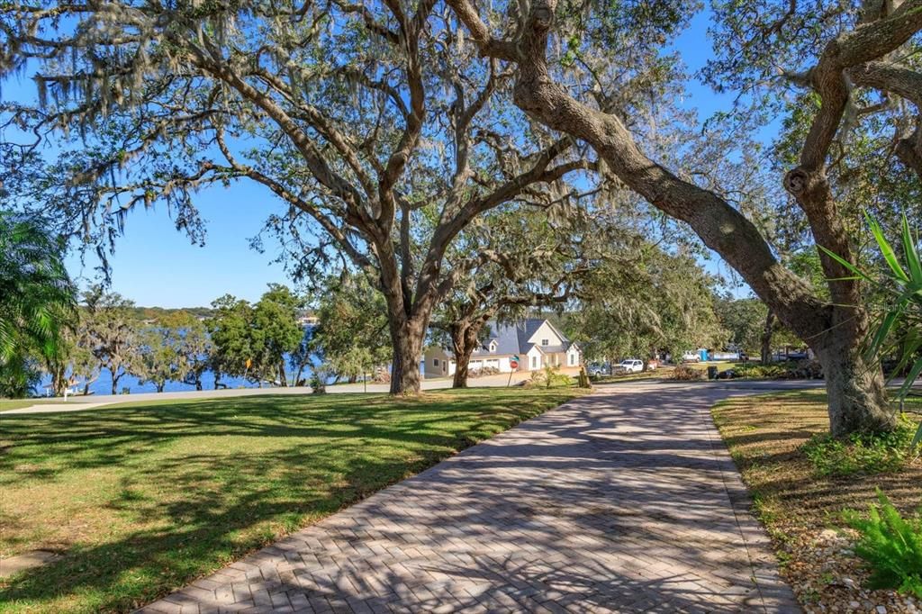 Tree lined brick driveway