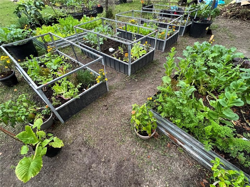 Showing produce grown