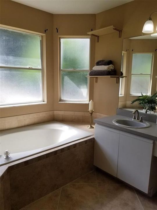 Primary bathroom - new lights, faucets, pretty garden tub