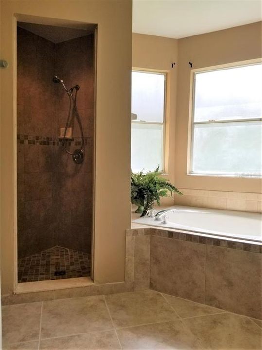 Primary bathroom - big soaking tub and separate shower