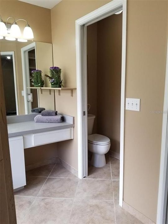 Primary bathroom - new lights, faucet, separate lavatory room