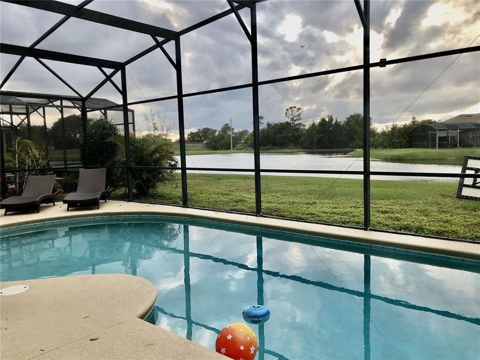 Pool & Lake View