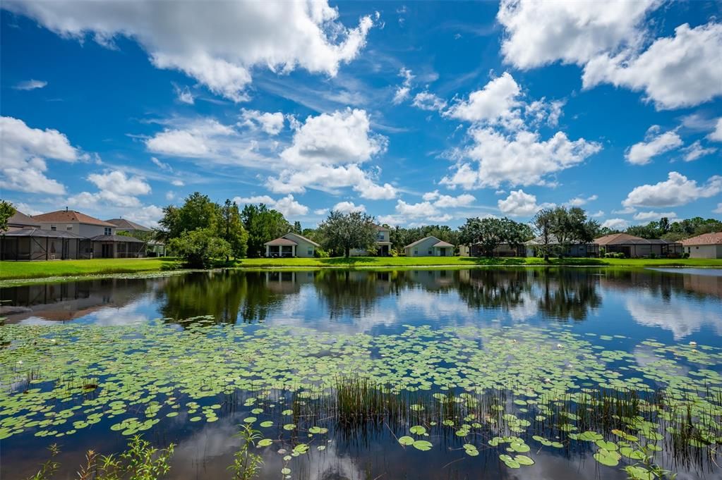 For Sale: $495,000 (4 beds, 2 baths, 1812 Square Feet)