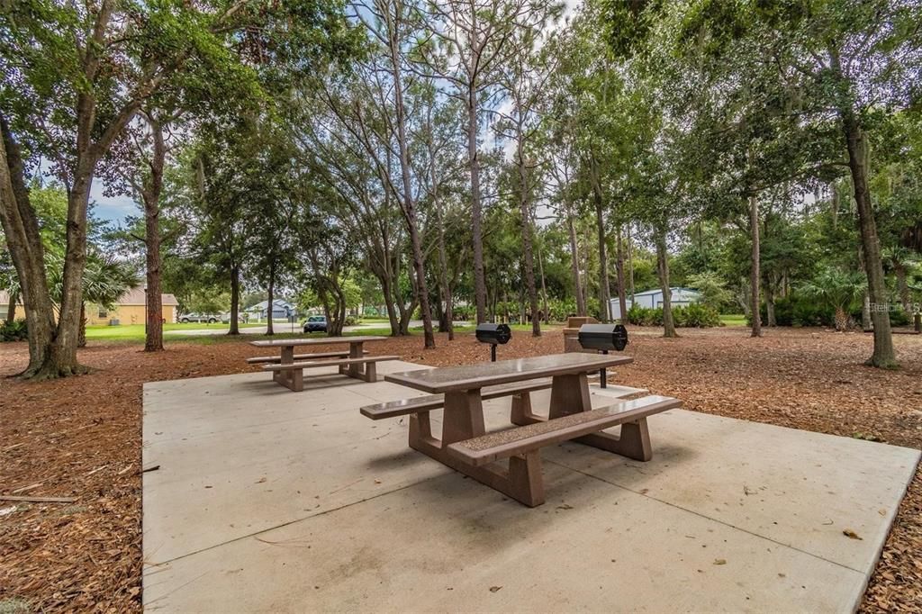 Picnic tables and grill