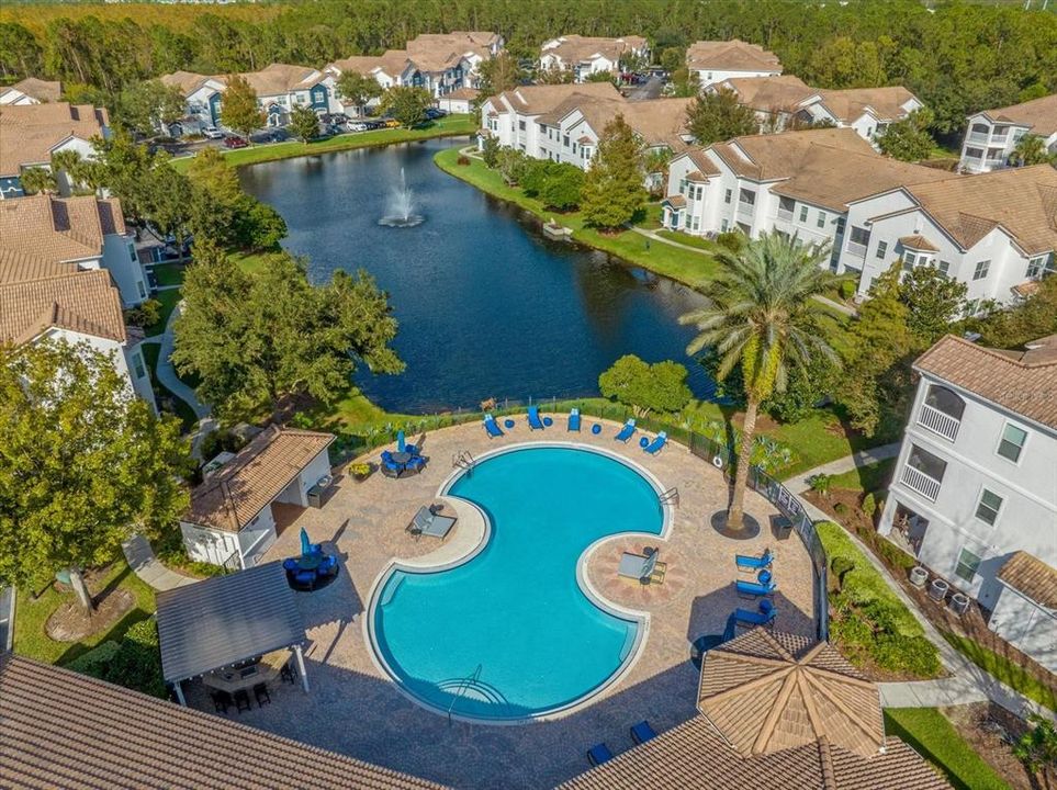 Pool Aerial View