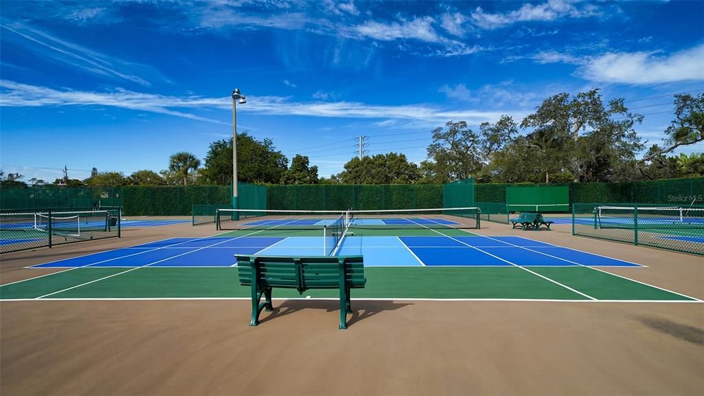 Pickleball court