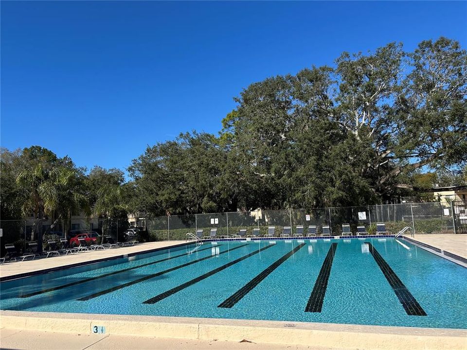 Community swimming pool