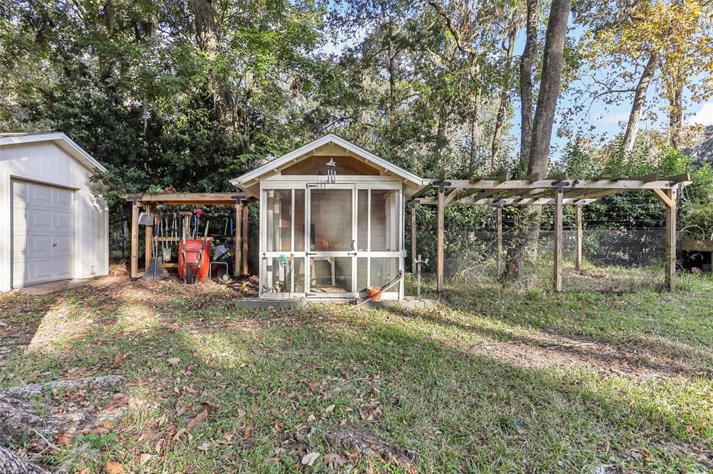 Chicken Coop - Fresh Eggs Every Morning!