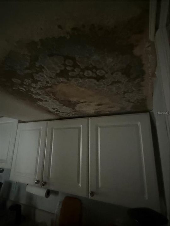 ceiling damage in kitchen