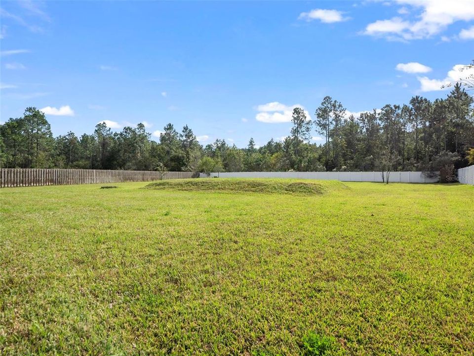 Expansive Rear Yard