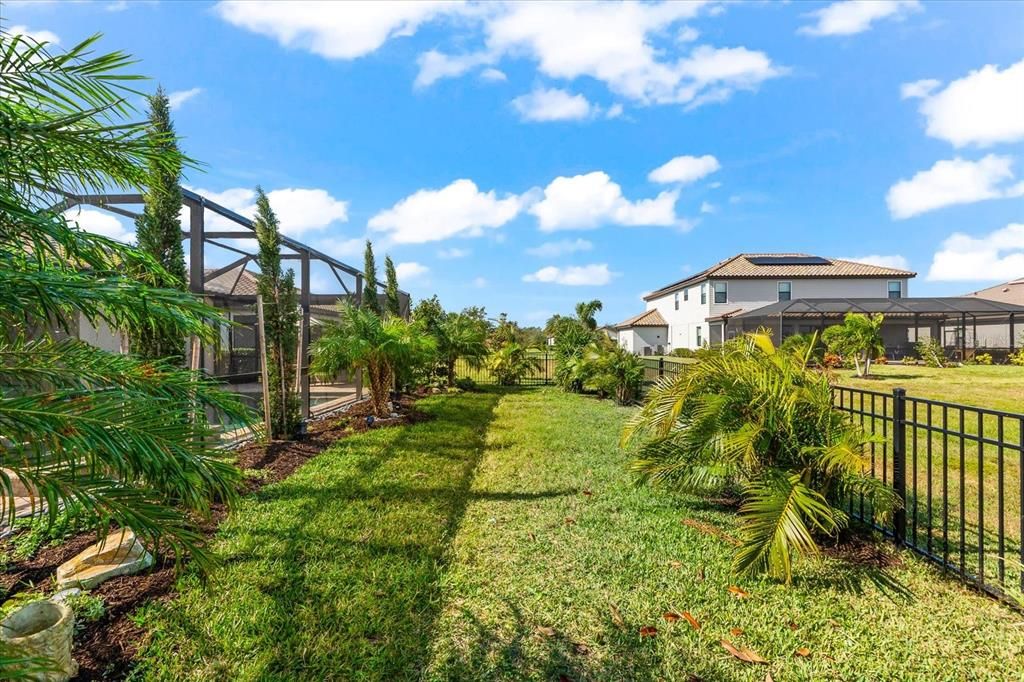 Fenced in back yard.