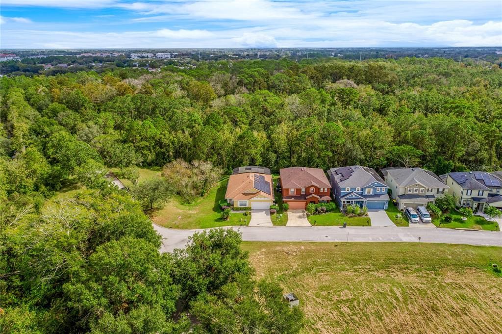 Tucked away in a quiet corner of the community surrounded by gorgeous CONSERVATION this beautiful 4BD/3BA **POOL HOME** has a **NEWER ROOF**, **UPGRADED KITCHEN**, **OWNED SOLAR**, plus formal and family spaces all under high ceilings adding to the light and bright feel.