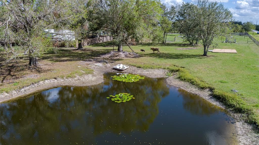 Pond on property