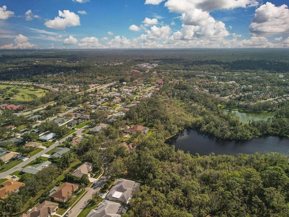 Aerial shot of Desoto Woods