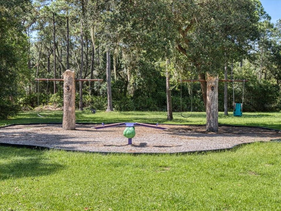 Playground at the Park