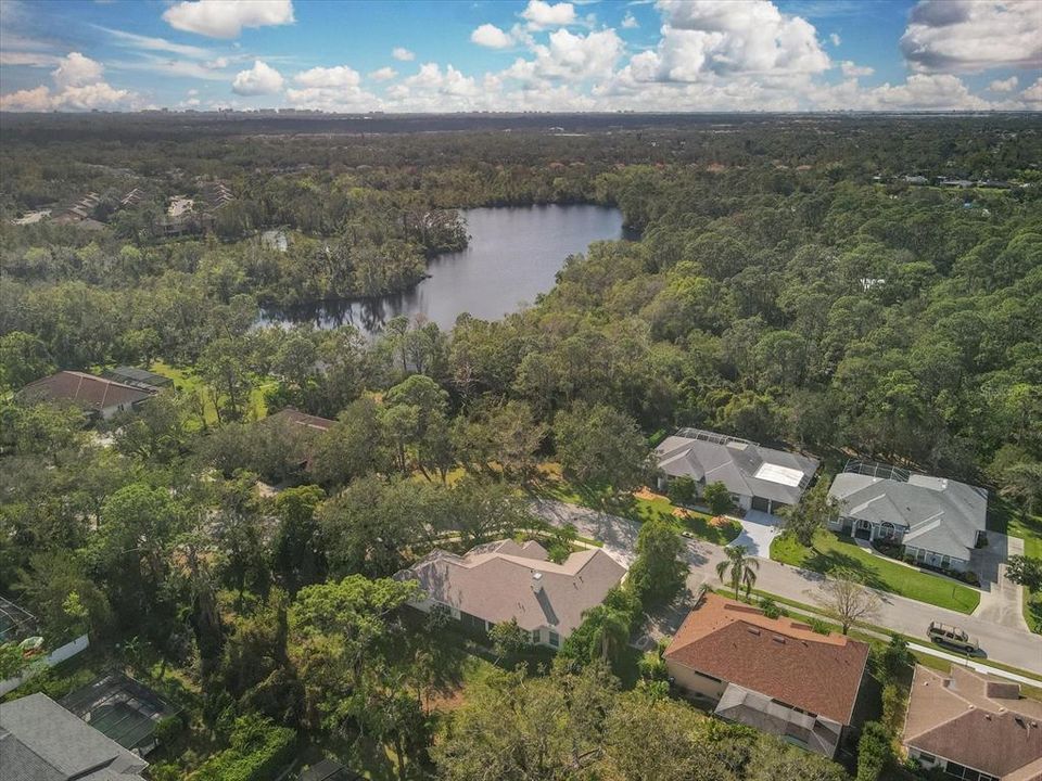 Aerial of Conservatory Park