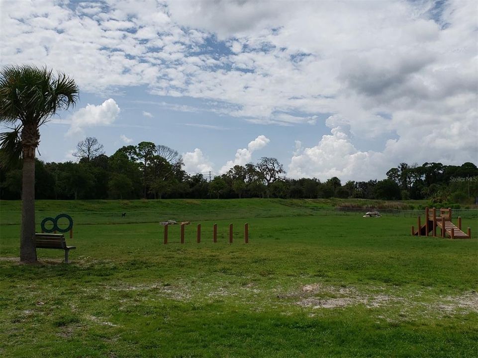 Anclote Gulf Park Dog Park