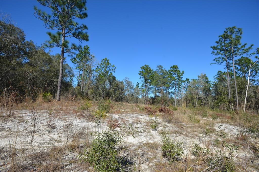 CLEARED LOT READY TO BUILD