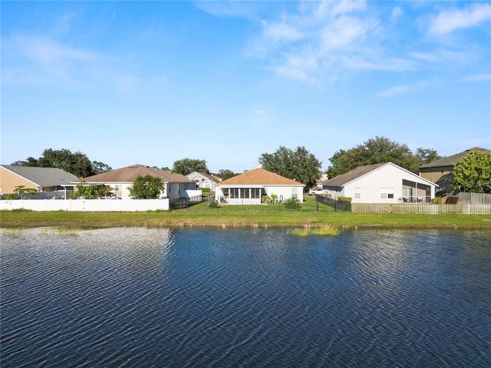 Neighborhood pond